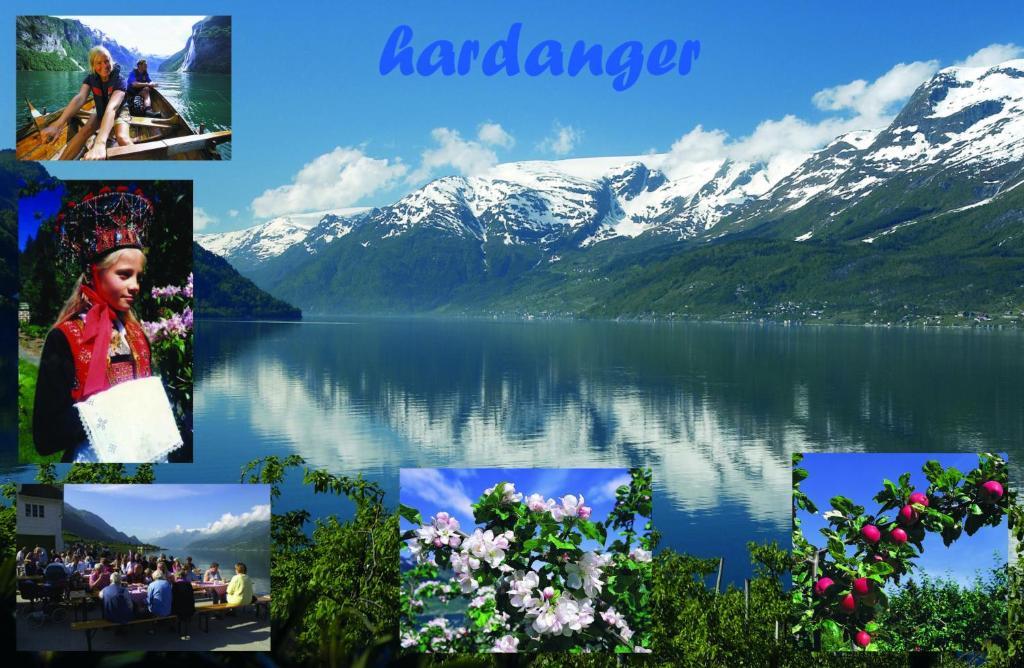 Trolltunga Camping Odda Exterior foto
